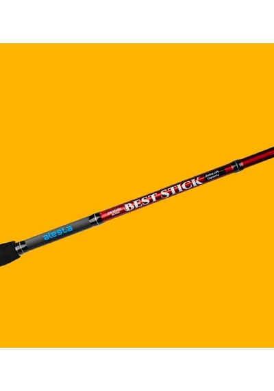 Alesta Best Stıck 240 Cm 10-30gr 2pc Spin Kamış 1