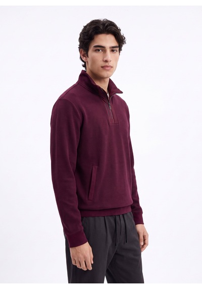 Discovery Expedition D6wm-swt3767 Mürdüm Erkek Fermuarlı Desenli Desen Triko Sweatshirt