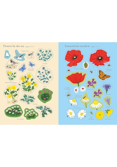 Little First Stickers Wildflowers