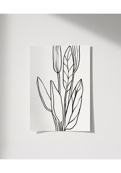 Çerçevesiz Poster Soyut Bitki Formları Grafik Sanat