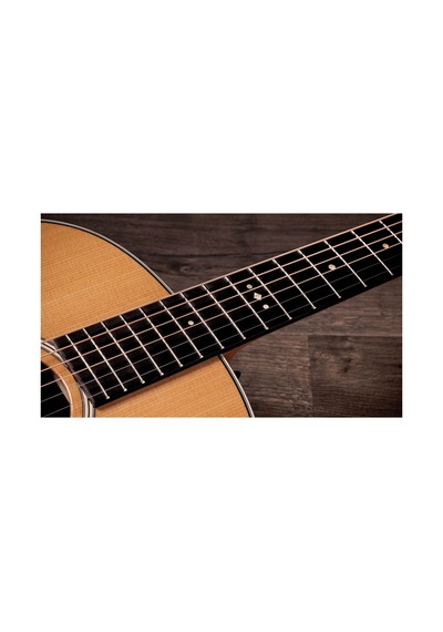 Taylor Gold Label 717e Elektro Akustik Gitar 104051399943