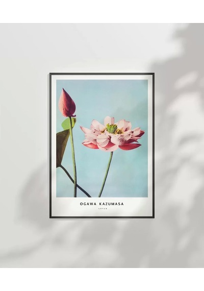 Çerçevesiz Poster Ogawa Kazumasa Lotus