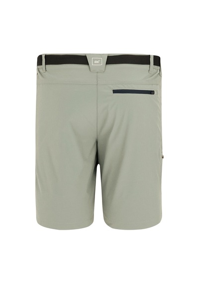 Regatta X-ert Stretch Erkek Şort-yeşil