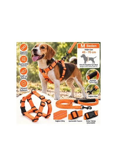 Doglife Köpekler İçin Göğüs + Fitil Gezdirme Tasması Seti 8mm M Beden Çok Renkli