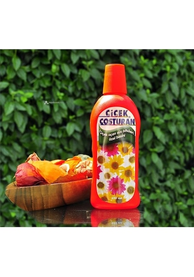 Çiçek Coşturan Çiçek Açan Süs Bitkileri için
