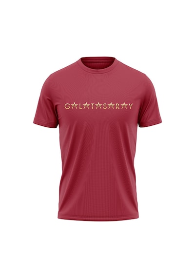 Galatasaray Lisanslı Yazılı 5 Yıldız Bordo T-shirt Aslan Ahşap Kutulu E251501 Kırmızı