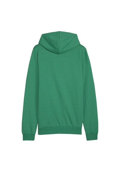 Puma Teamgoal Casuals Hoody Erkek Futbol Antrenman Sweatshirts 65861805 Yeşil