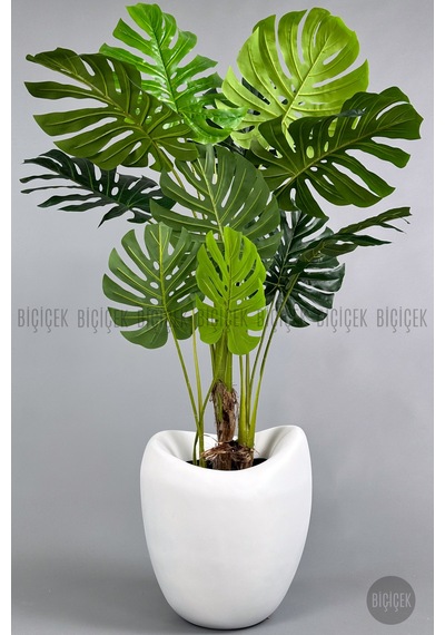 Yapay Monstera Ağacı Deve Tabani 170 Cm Beyaz Lale Saksıda