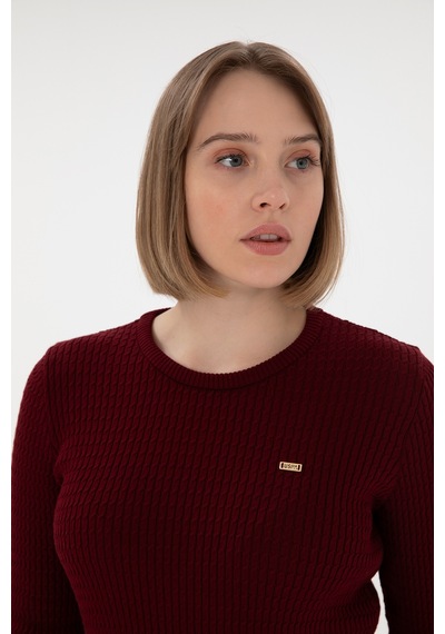 U.S. Polo Assn. Kadın Bordo Bisiklet Yaka Basic Kazak 50312922-VR014