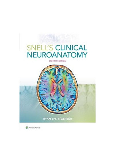Snell'S Clinical Neuroanatomy N11.1147