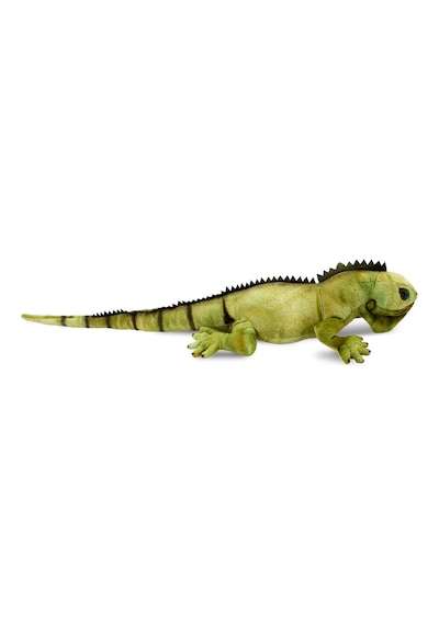 Animals Of The World İguana 66 cm