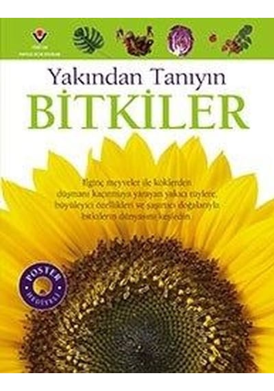 Bitkiler-Yakından Tanıyın - David Burnie - Tübitak Yayınları