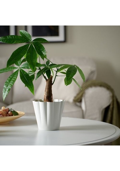 Ikea Kvastspırea Çelik Saksı, Kırık Beyaz, İç-dış Mekan 64647247