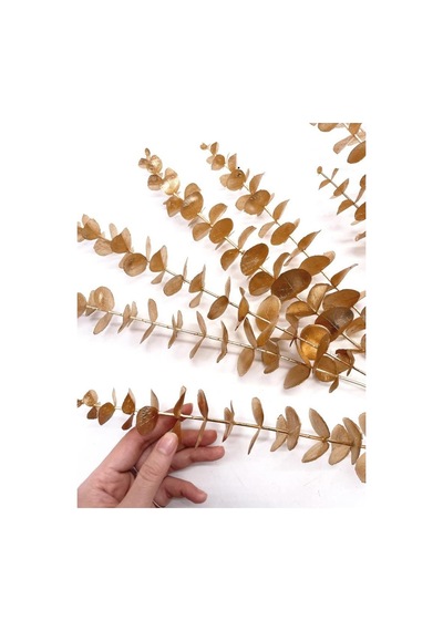Yapay Çiçek Gold Altın Renk Okaliptus 3dallı Uzun Dal 76cm Eucalyptus
