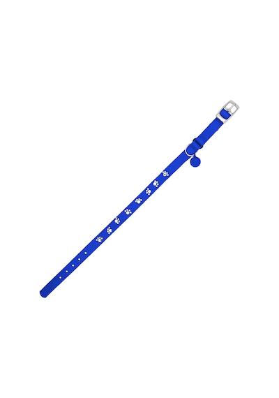 Royalist Pc-11 Pati Baskılı Kedi-köpek Tasması 10mm 30cm Mavi Çok Renkli