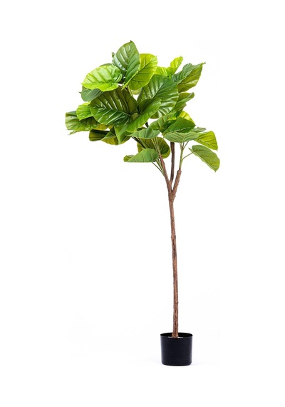 The Mia Yapay Ficus Umbellata Ağacı Yeşil 150 Cm