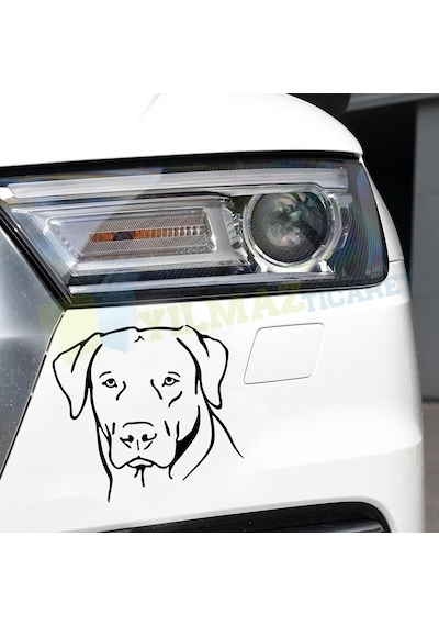 Köpek Dog Oto Sticker Araç Çıkartma Yapıştırma Etiket