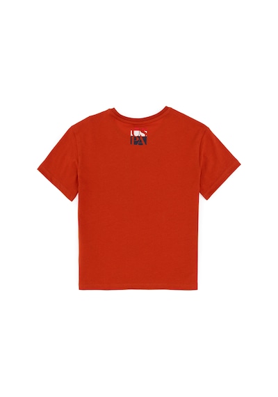U.S. Polo Assn. Erkek Çocuk Kiremit Bisiklet Yaka Tişört 50295428-VR031