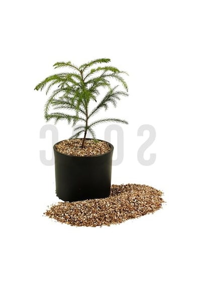 1 Litre Vermikülit, Bitki Gelişimini Destekleyen Doğal Malzeme 0.75 LT - 2.5 LT - 12 KG