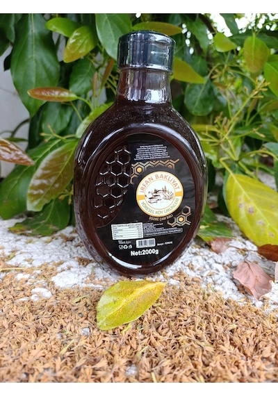 Çam Balı 1900 Gr