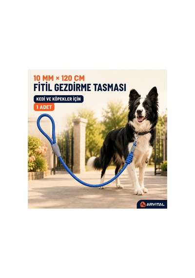 Evcil Hayvan Fitil Gezdirme Tasması 10 Mm X 120 Cm Kedi Köpek Gezdirme İpi Çok Renkli