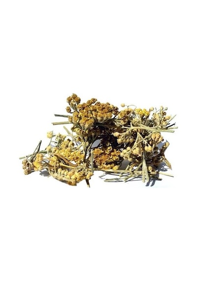 Civanperçemi 30 G Civanperçemi 30 G