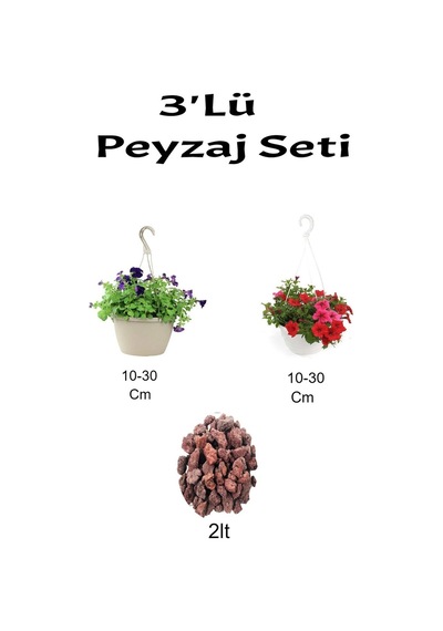 3'lü Peyzaj Seti Mor+ Kırmızı Petunya Çiçeği Curf