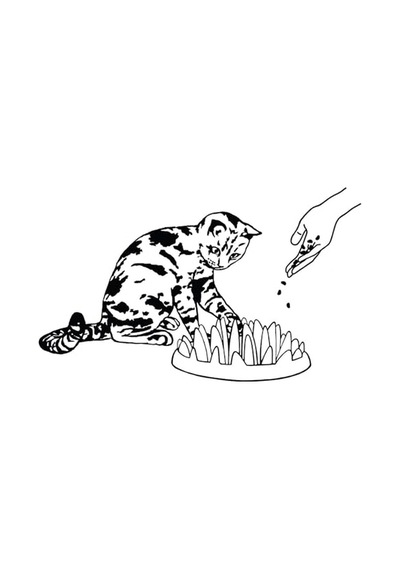 Catch Etkileşimli Yavaş Kedi Besleyici