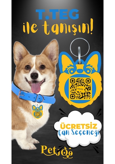 Petjoo 15.T.Teg Sarı-Mavi Qr'lı Köpek Künyesi