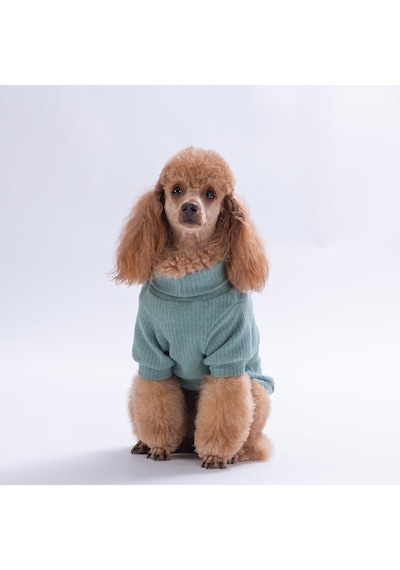 Yeşil Teddywood Ayıcık Nakışlı Esnek Sıcak Tutan Köpek Sweati Köpek Kıyafeti Kedi Kıyafeti