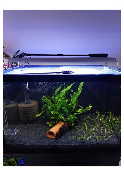 Barış Bazalt Siyah Kum 5 Kg 2-3mm