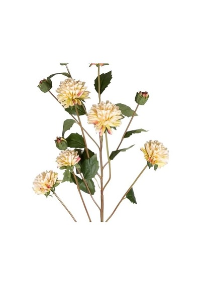 Krizantem Krem 77 Cm.