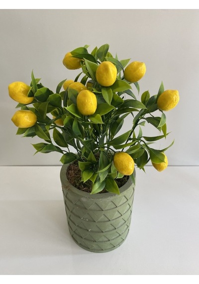 Rüzgar Yapay Çiçekçilik Beton Saksıda Limon Ağacı Yeşil