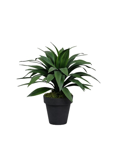 Yapay Ağaç Agave 45 Cm Yeşil
