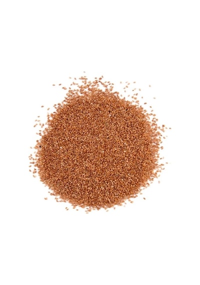 Sanita Teff Tohumu 250 GR