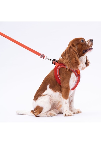 Pawstar L11 Kiremit Sevk Kayışı Kırmızı