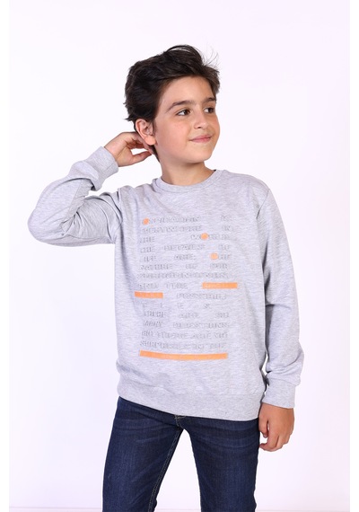 Toontoy Kids Toontoy Erkek Çocuk Kabartma Baskılı Sweatshirt Gri Melanj