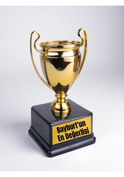 Bayburt'un En Değerlisi Yazılı Ödül Başarı Şampiyonluk Kupası 23 Cm Bayburtluya Hediye