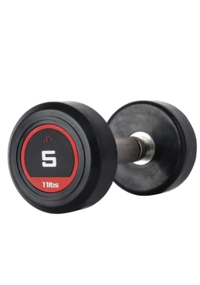 Alin Sport 5 KG Dambıl Kauçuk Kaplı