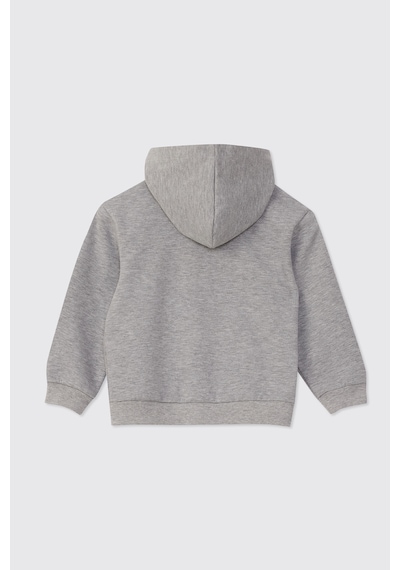 Panço Erkek Bebek Fermuarlı Gri-melanj Sweatshirt