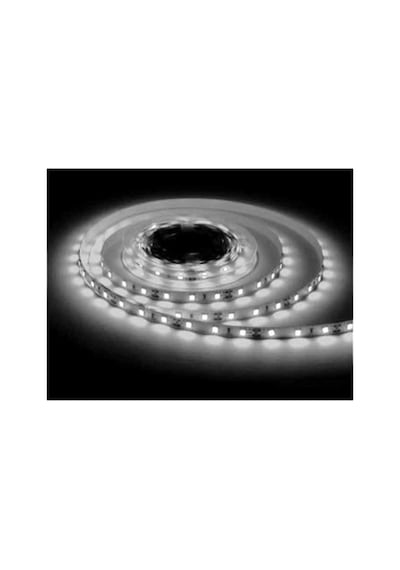 Şerit Led 6500k 12 V 4040 5 Metre