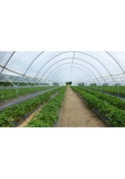 36 Aylık Sera Naylonu 360 Mikron Uv - Eva-ır-ao-ae Katkılı 7x6