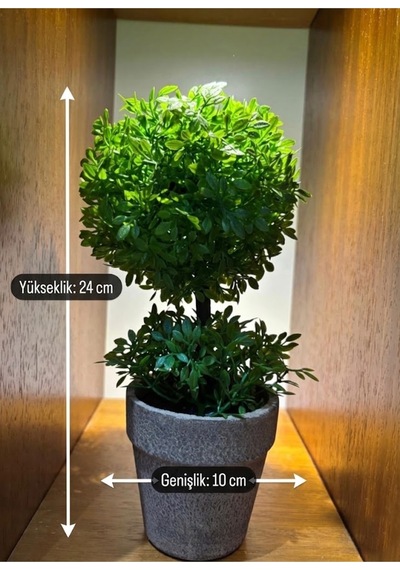 Geometrik Estetik: İkili Küre Formlu Canlı Yeşil Dekoratif Bitki 24 Cm X 10 Cm Yeşil