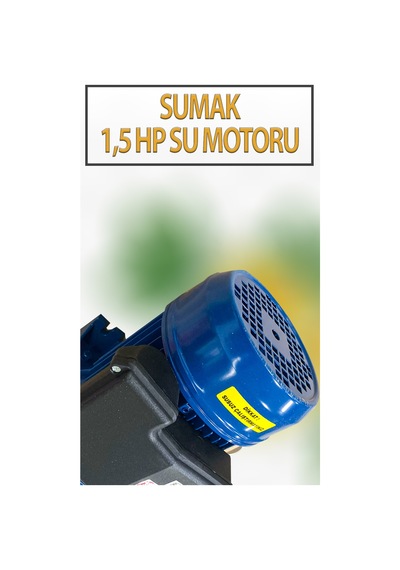 1,1 Kw 1,5 Hp 2820 D/d 5,8 A. Su Motoru 220 V/50 Hz Su Pompası Jet Pompası