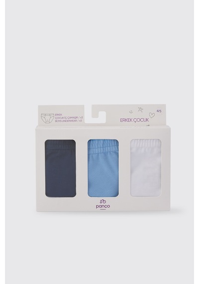 Panço Erkek Çocuk 3'lü Slip Set Renkli