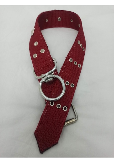 Kozaklı Süslü Köpek Tasması Kırmızı 75 x 5 CM Kırmızı