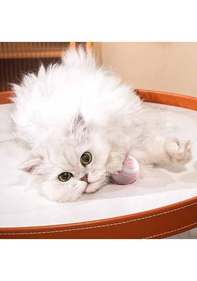 İnteraktif Kedi Oyuncakları Akıllı İnteraktif Kedi Oyuncak Topu Otomatik Hareketli Kedi Topu Oyuncakları Dokunmatik Kontrol Kedi