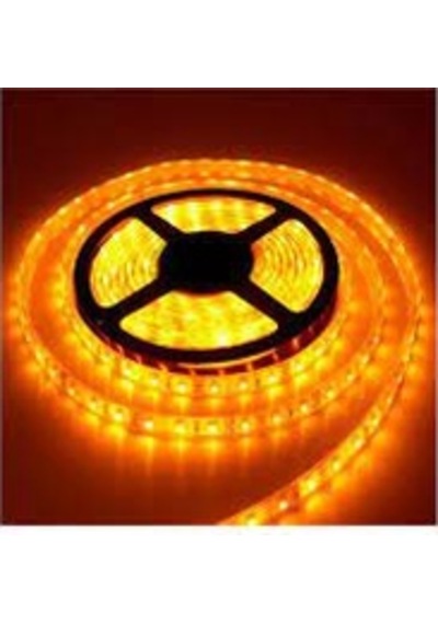 Noas Amber İç Mekan Şerit Led