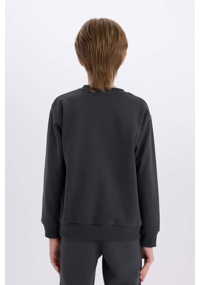 DeFacto Erkek Çocuk Stranger Things Bisiklet Yaka Kalın Sweatshirt D4791A824WNAR208