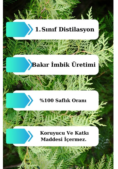 Sedir Ağacı Yağı - 10 Ml Seyreltilmemiş, Doğal Uçucu Yağ 20 ML